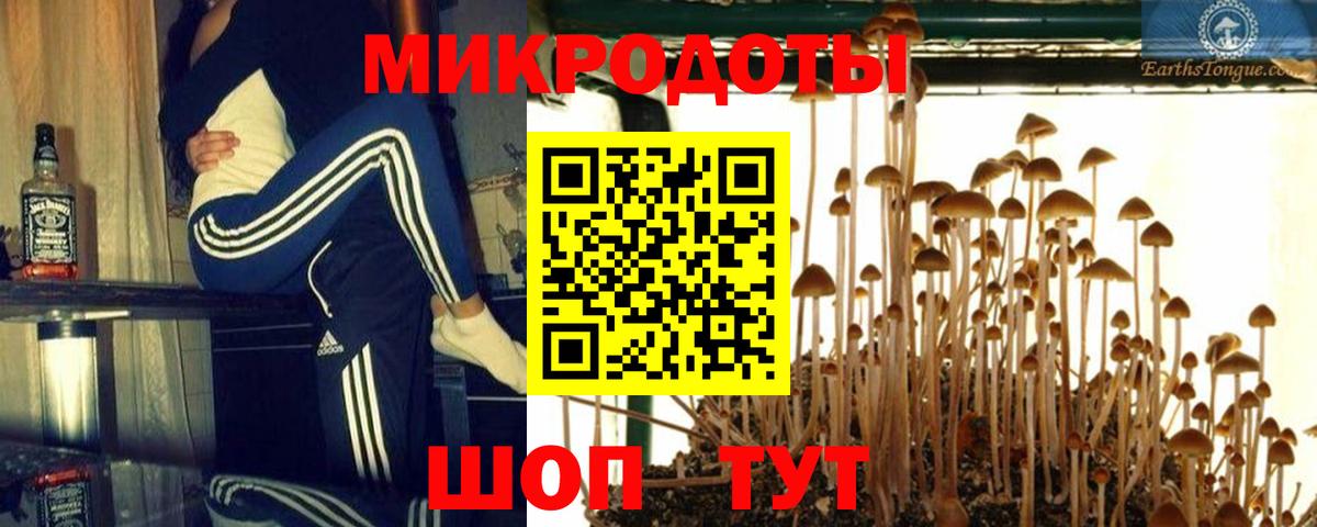Галлюциногенные грибы мицелий Вятские Поляны